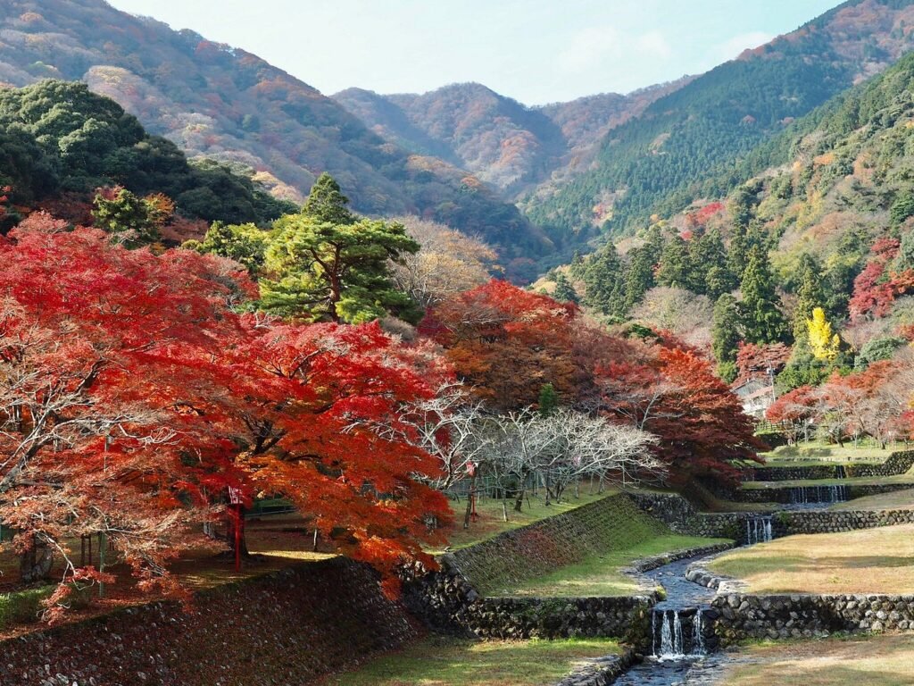 Yoro Park Art and Nature in Perfect Harmony
