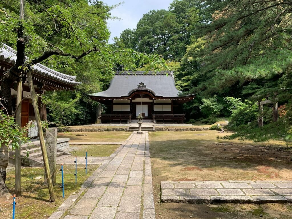 Experience Japan's Culture with Free and Low-Cost Activities